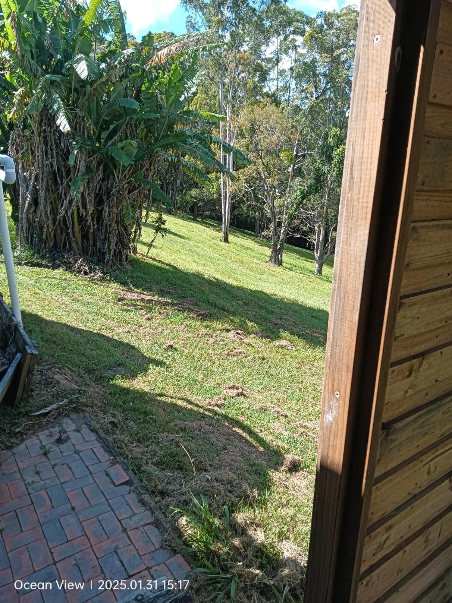 Cabins @ The View Ocean View 外观 照片